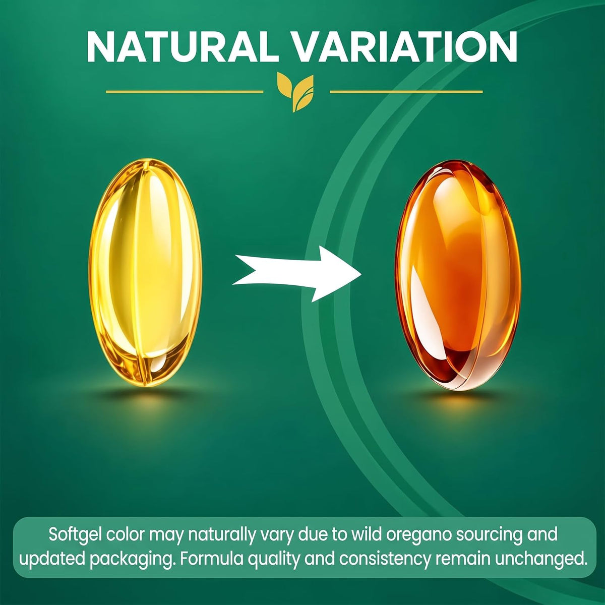 Softgels with Black Seed Oil+Odorless Aged Garlic